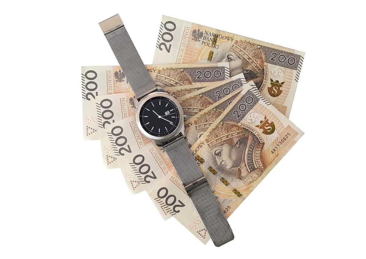 money, banknotes, gold, for your buck, watch, time, buck, pln, cash, currency, money making, to save, pay, payment