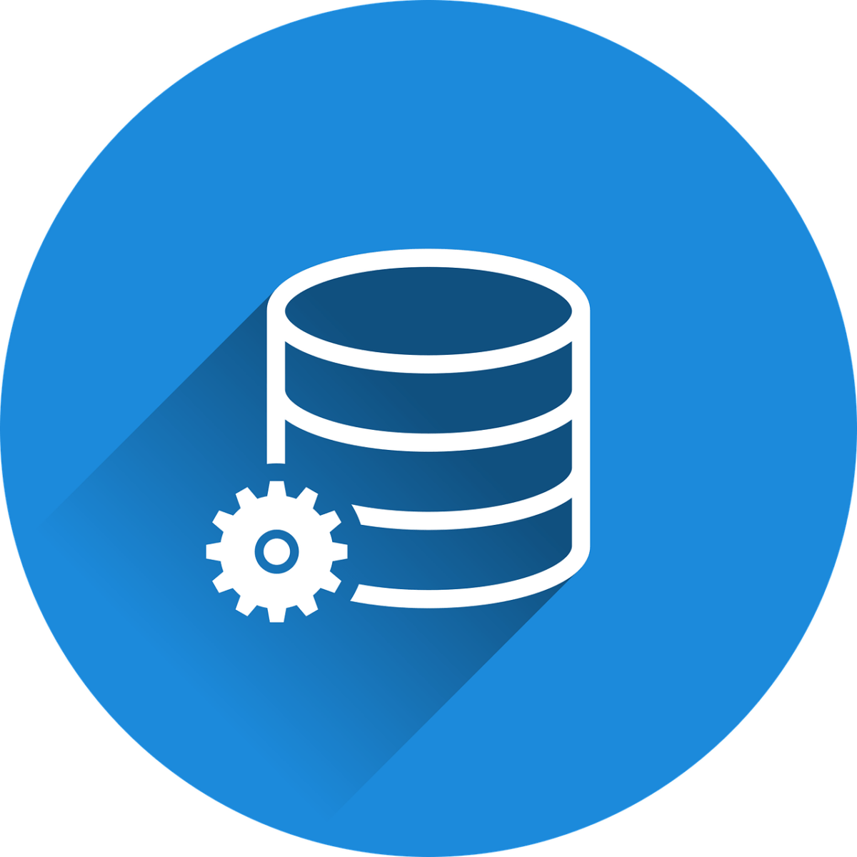 database, manage, administer